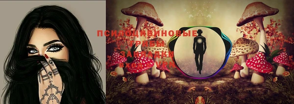 PSILOCYBIN Карпинск