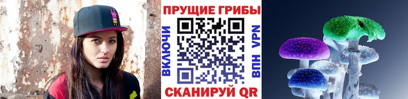 купить   Малоярославец  Галлюциногенные грибы Cubensis 