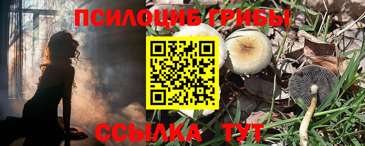 Малоярославец  Галлюциногенные грибы GOLDEN TEACHER  Вход с VPN 